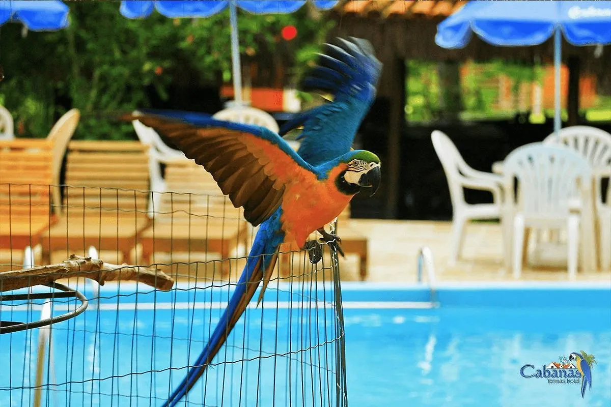Lodge Cabanas Termas Hotel Gravatal Brazil